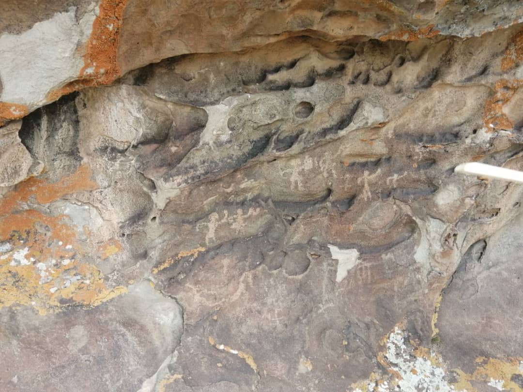 کشف سنگ‌نگاره‌های باستانی در ورزقان